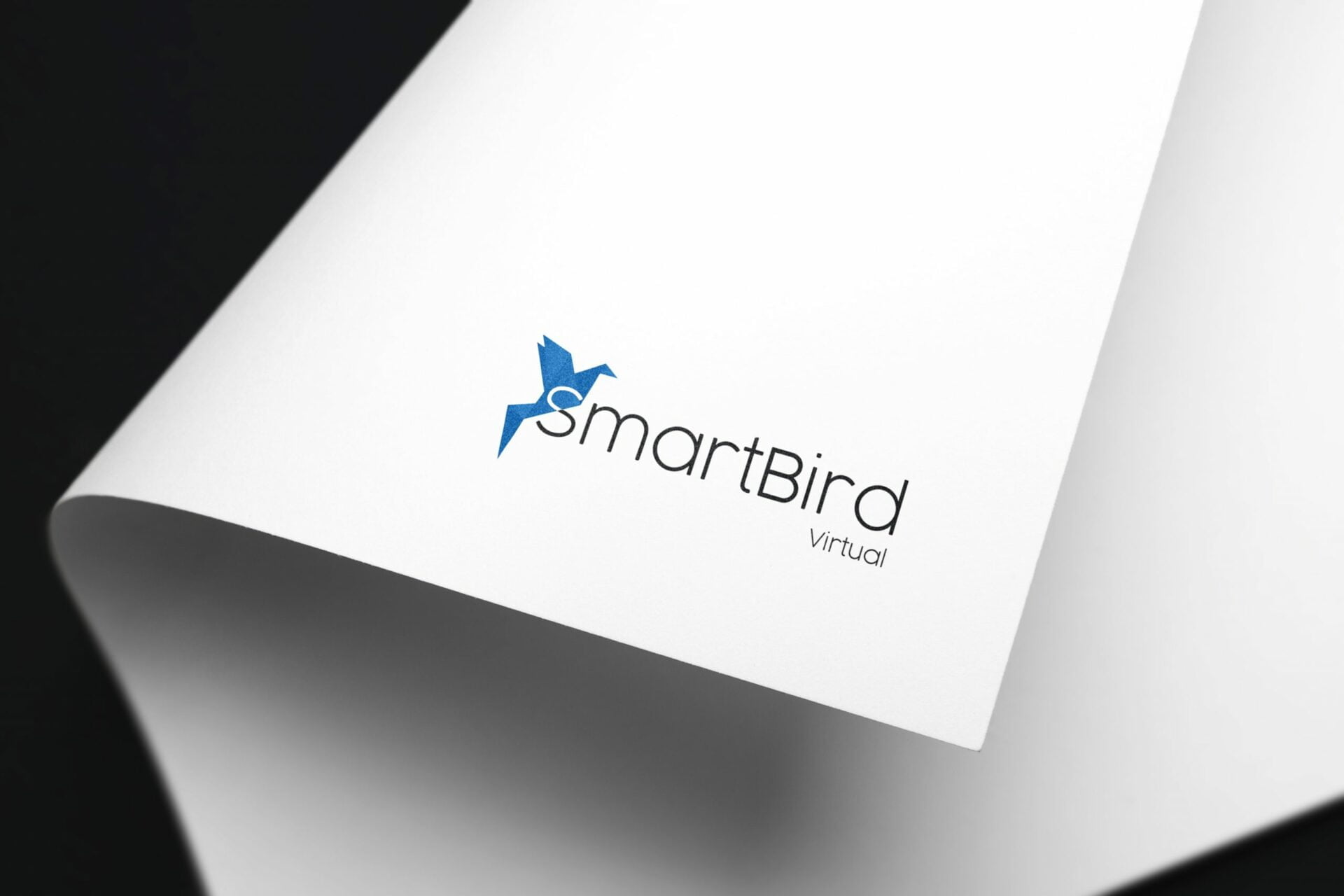 Creative SmartBird Virtual Logo Design